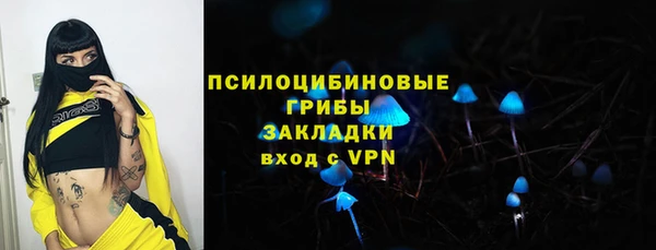 ПСИЛОЦИБИНОВЫЕ ГРИБЫ Володарск