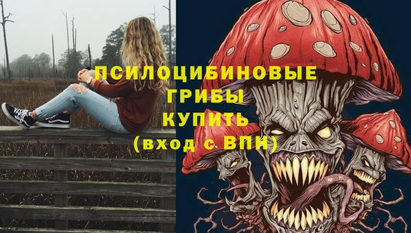 ПСИЛОЦИБИНОВЫЕ ГРИБЫ Володарск