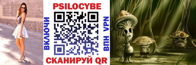 omg зеркало  Дзержинск  Галлюциногенные грибы Psilocybe 